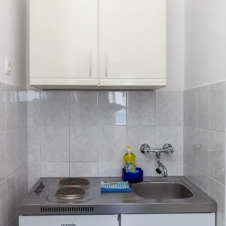 玫瑰园公寓 公寓 *